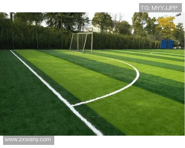 足球球星玩具球场打造梦想竞技世界 带你体验极致激情与乐趣